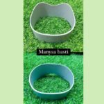 Manya Basti Mould